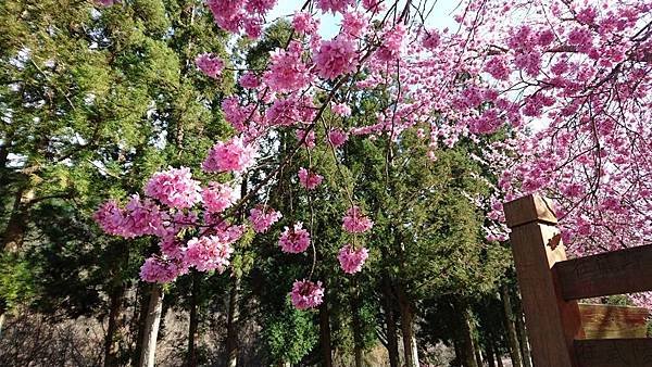 2018-02-16 15.21.29.jpg