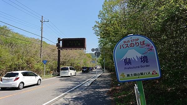 富士芝櫻祭