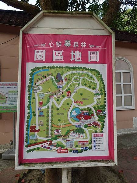 六塘休閒谷落羽松賞景.心鮮森林莊園慢遊