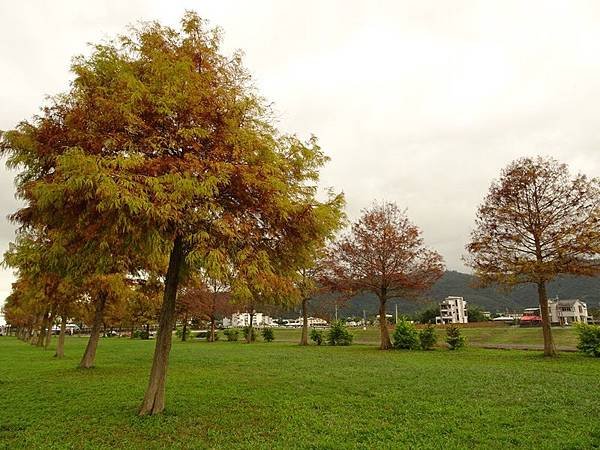 DSC09543.JPG