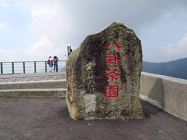 初秋遊賞八卦茶園與銀杏森林