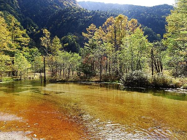 秋遊日本:上高地大正池.田代池