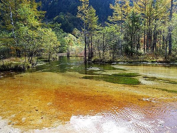 秋遊日本:上高地大正池.田代池