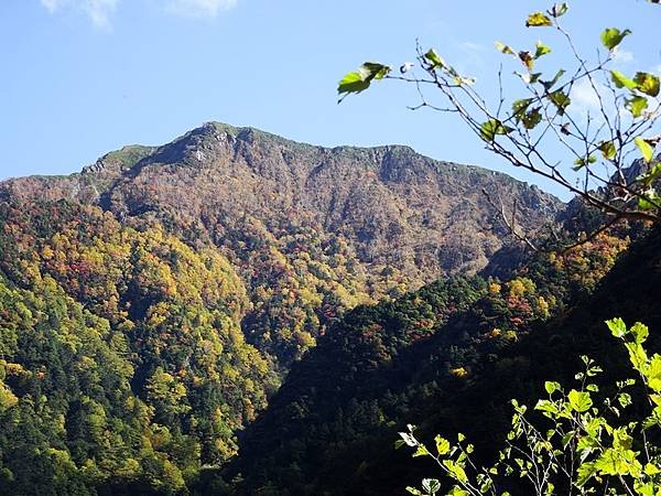 秋遊日本:上高地大正池.田代池