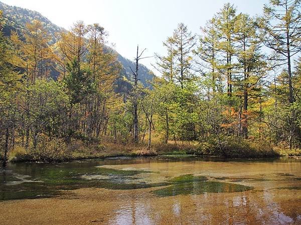 秋遊日本:上高地大正池.田代池