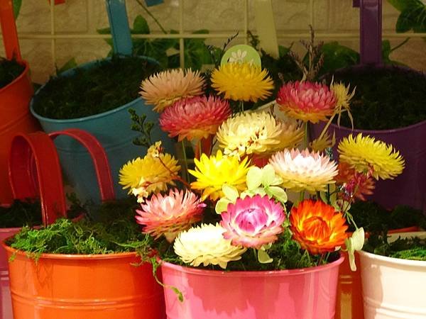 DSC04209.JPG