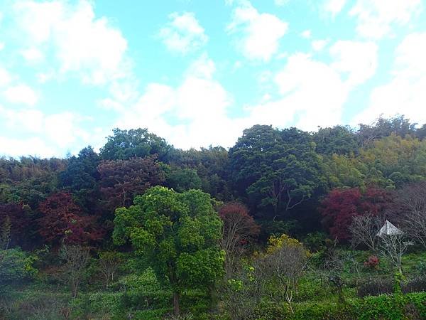 DSC01239.JPG