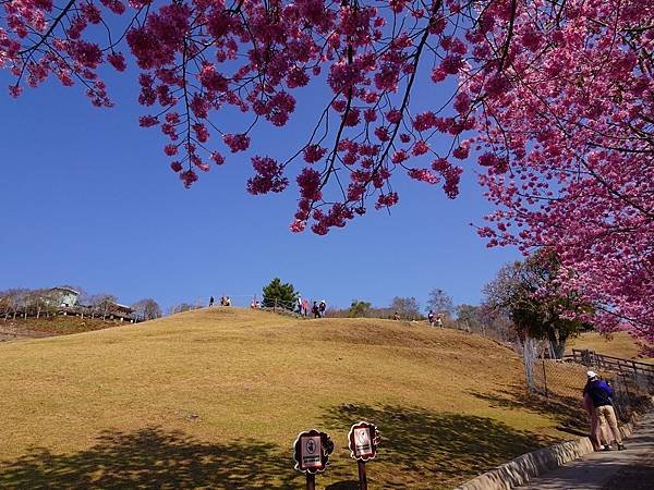 DSC04947.JPG
