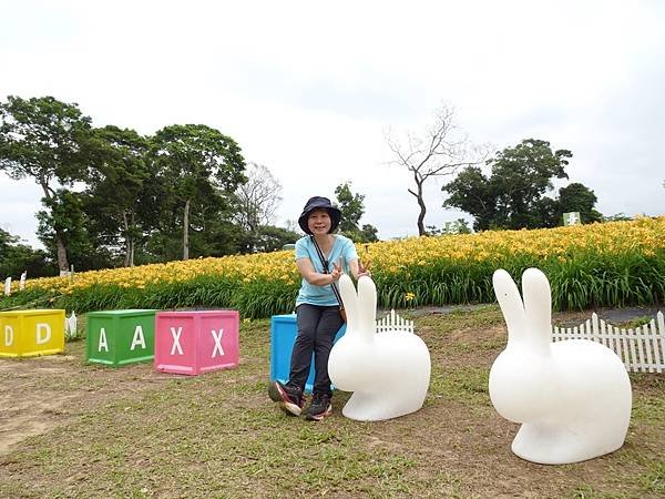 桃園賞花行:大溪百吉金針花海.台七桃花源繡球花季.瑞士鄉村農