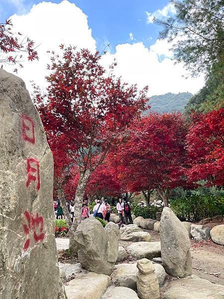 杉林溪生態渡假園區｢彩色森林｣秋意繽紛