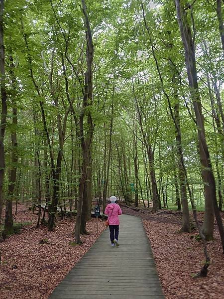 北歐三國之旅--丹麥森林螺旋景觀塔CAMP ADVENTUR