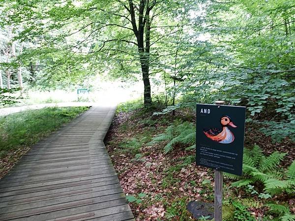 北歐三國之旅--丹麥森林螺旋景觀塔CAMP ADVENTUR