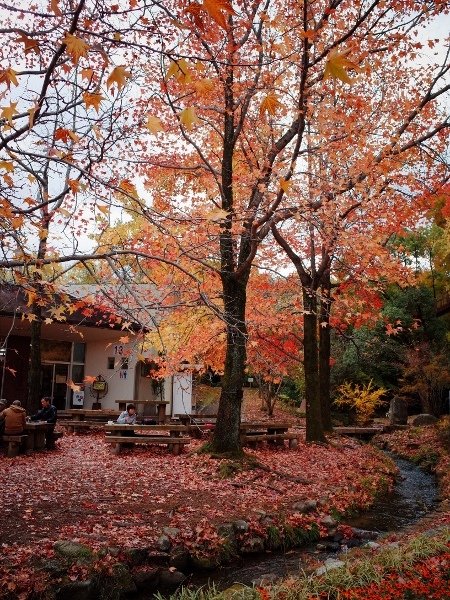 R0007740 (450x600).jpg