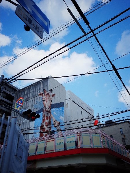 R0007823 (450x600).jpg