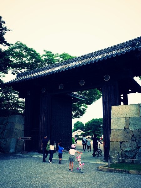 R0011441 (450x600).jpg