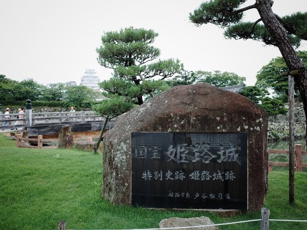R0011437 (600x450).jpg