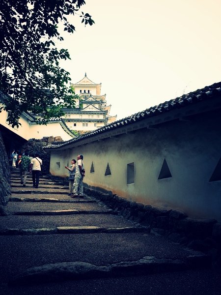 R0011473 (450x600).jpg