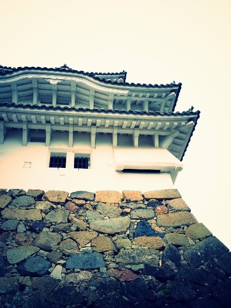 R0011494 (450x600).jpg