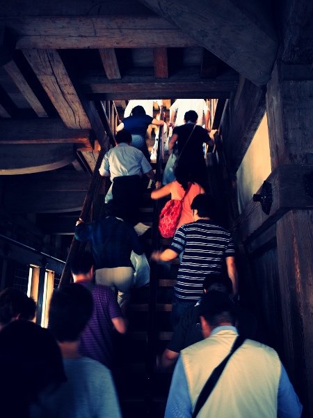 R0011519 (450x600).jpg