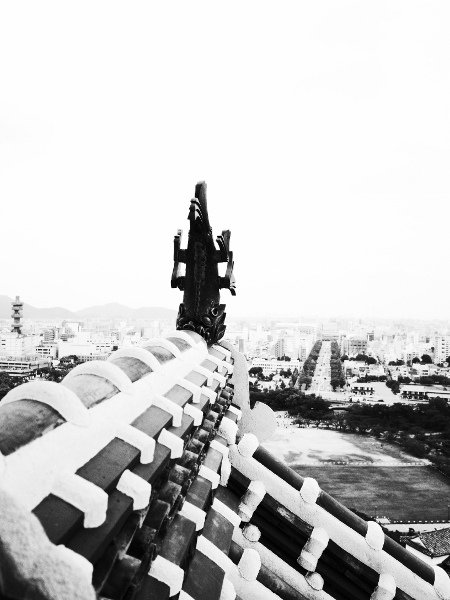R0011546 (450x600).jpg