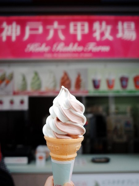 R0011631 (450x600).jpg