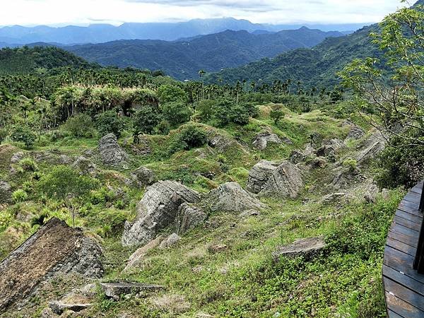 九份二山長出了雜草及植物，但仍可以隱約看出地型的改變