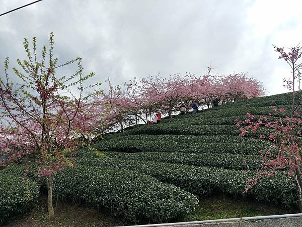 IMG20230203110222.jpg