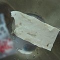 照片 002.jpg