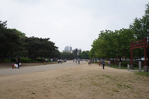 DSC04720