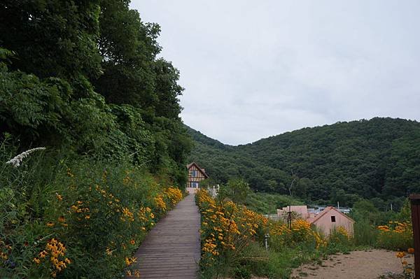 DSC06118