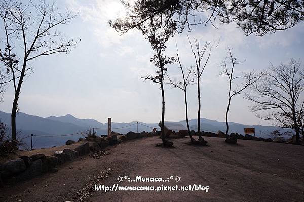 DSC03799_tn1.JPG
