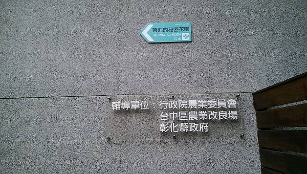 IMAG6838