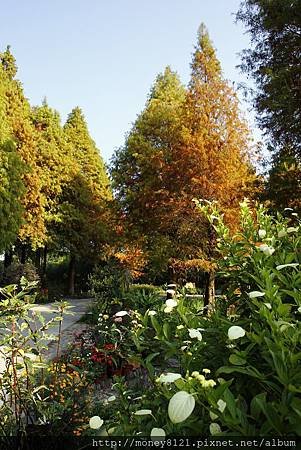 菁芳園 (6).jpg
