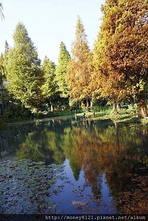 菁芳園 (9).jpg