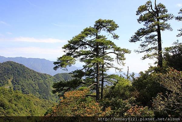 2015.04.16鳶嘴山~ (42).jpg