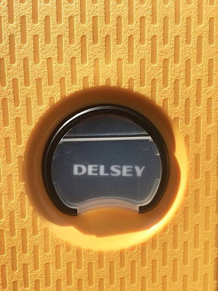 DELSEY 法國大使