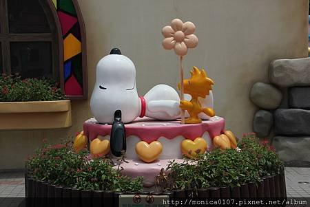 IMG_9881