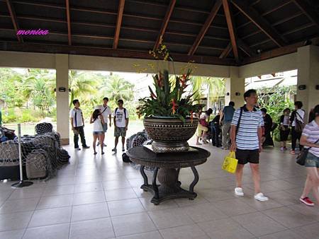 IMG_5173.JPG