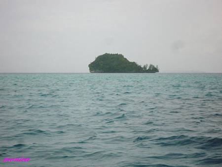 P1010951.JPG
