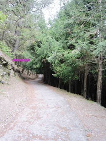 IMG_5807.JPG