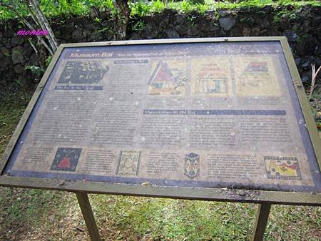 IMG_5252.JPG