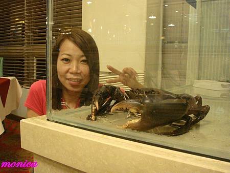 DSC09709.JPG