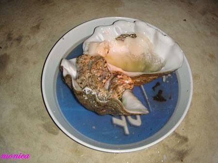 DSC09737.JPG