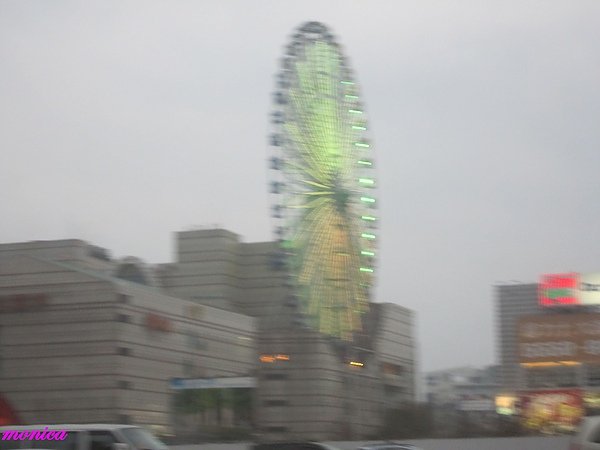 IMG_3648.JPG