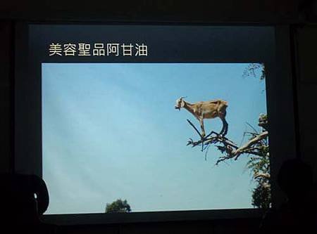 100_4179.JPG