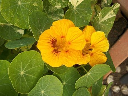 100_7025.JPG