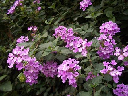 100_8508.JPG