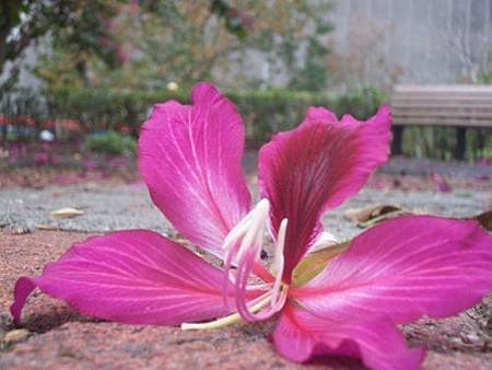 100_8581.JPG