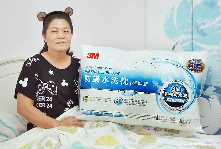 3M【新一代防蟎水洗枕-標準型】-20-20