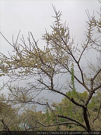 IMG20220123151155.jpg
